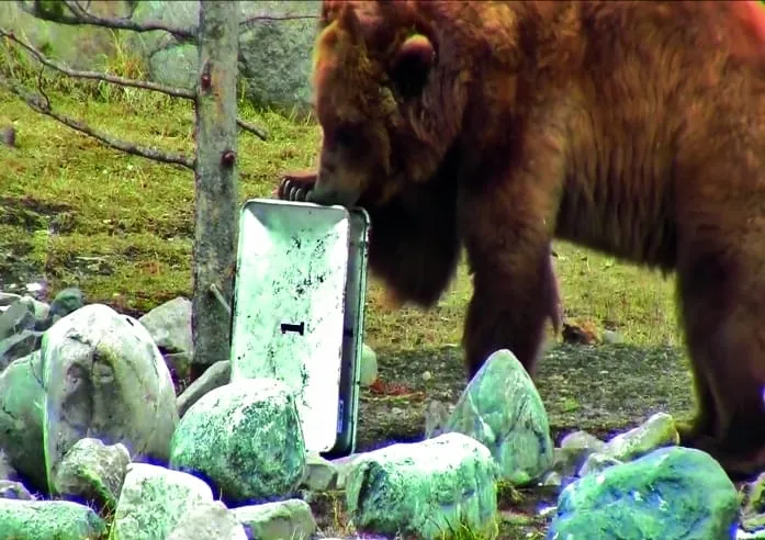 Zarges: Box besteht Bärentest