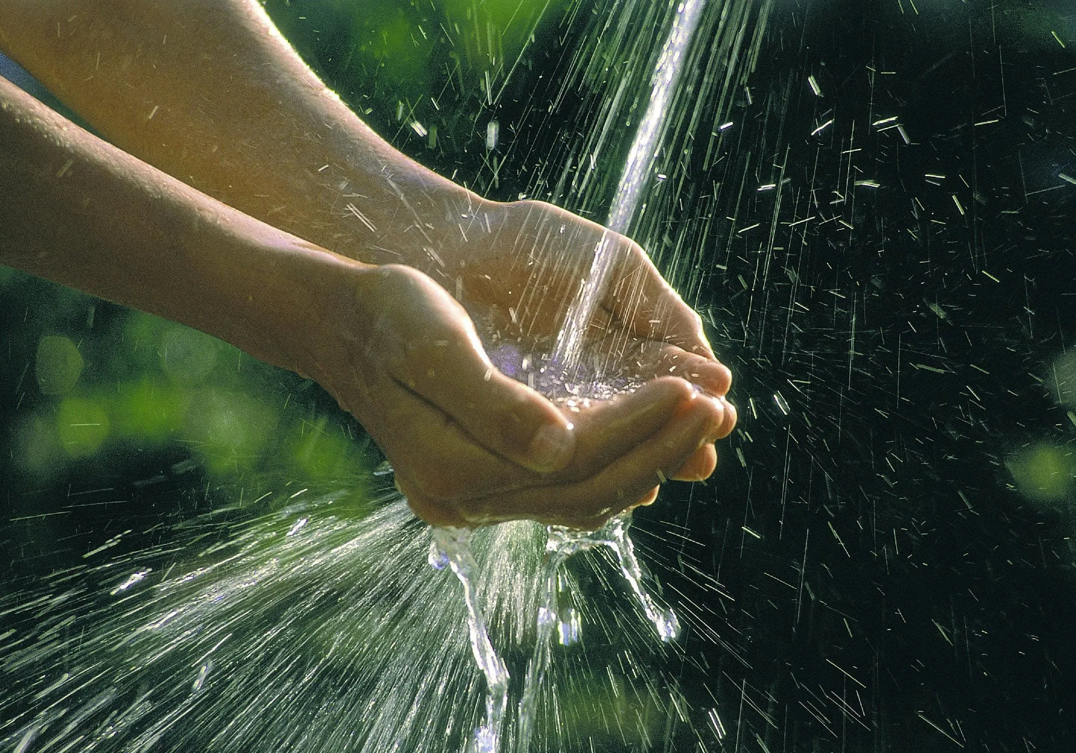Workshop zum nachhaltigen Umgang mit Wasser