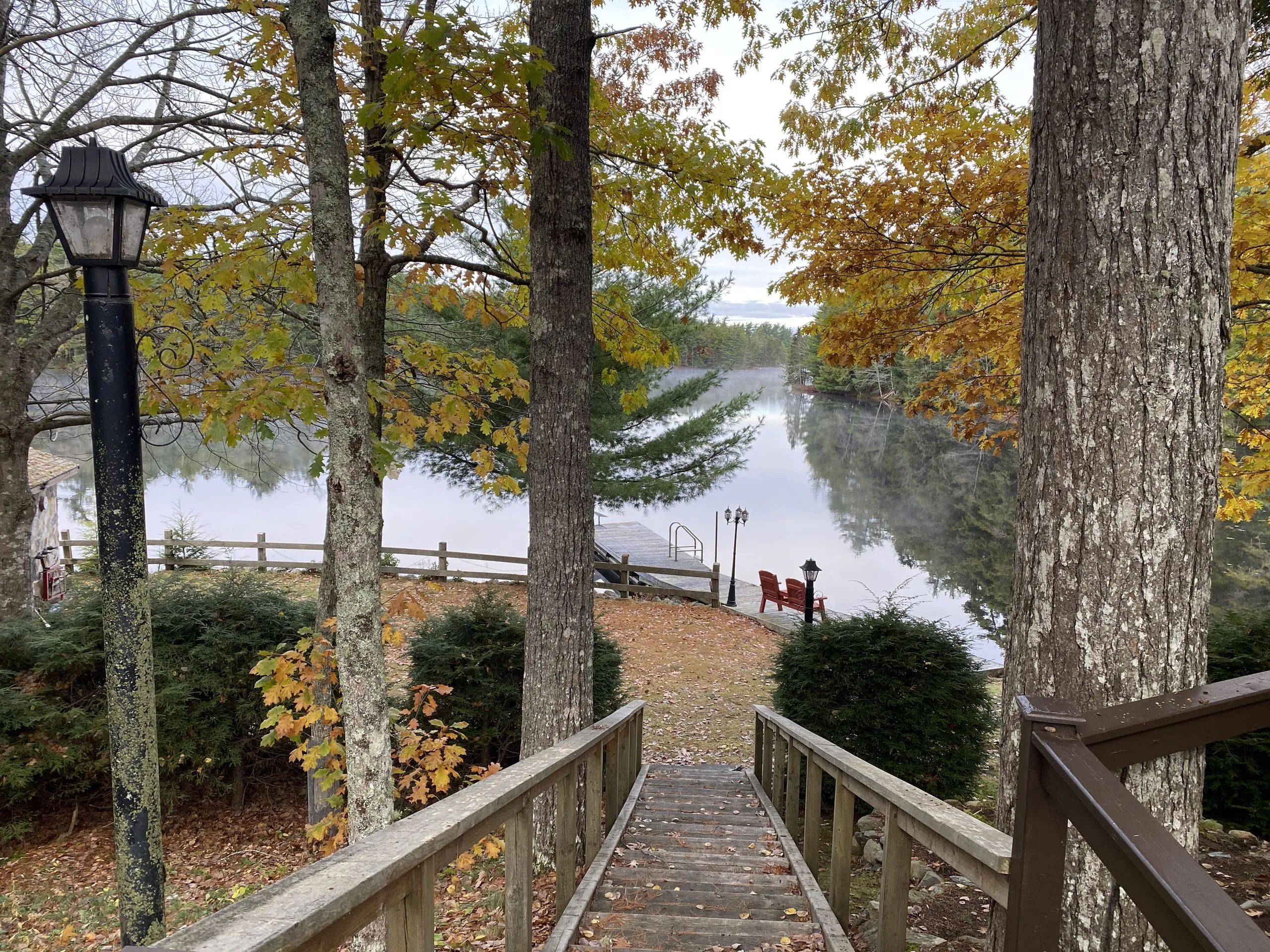 Lebensräume der Zukunft: Viessmann investiert in kanadische Wälder