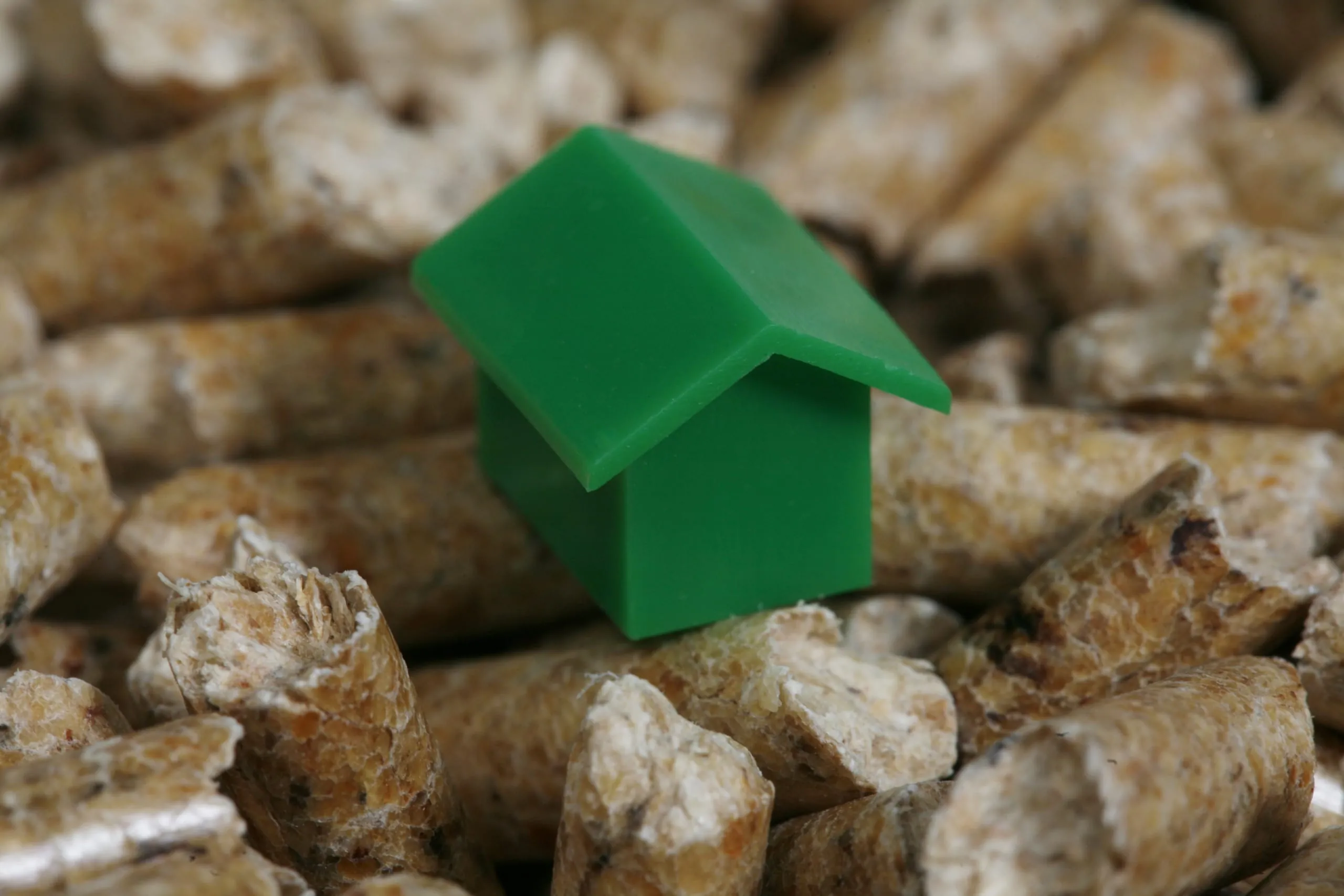 Bundesregierung bremst Holzenergie aus