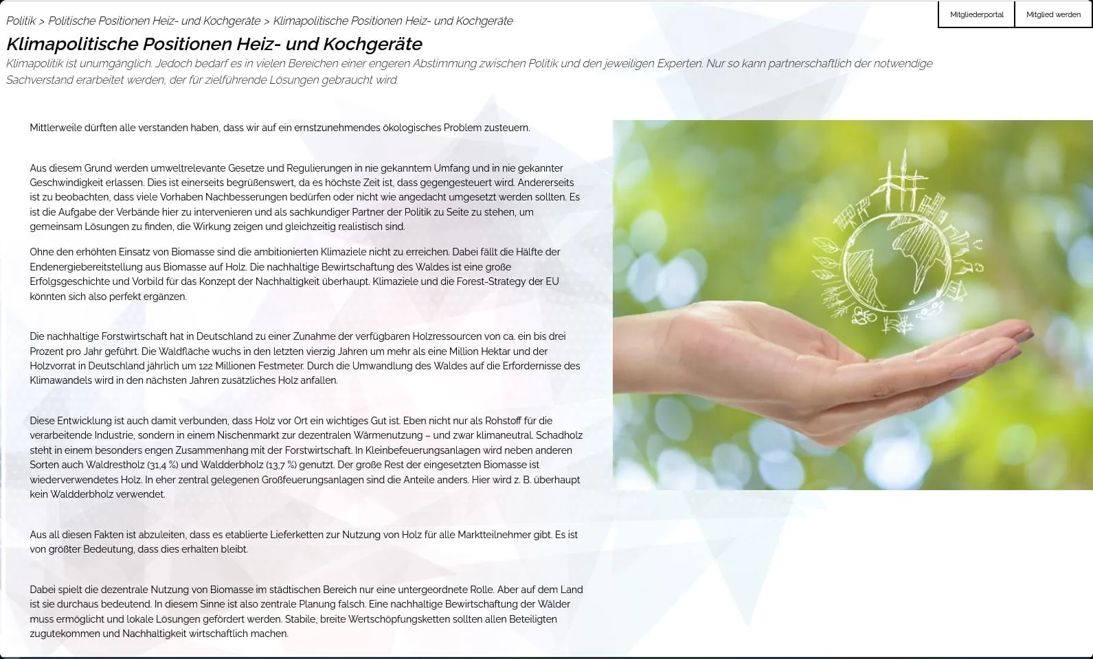 Verbändeallianz kritisiert Einschränkung von Holzenergie in BEG-Novelle