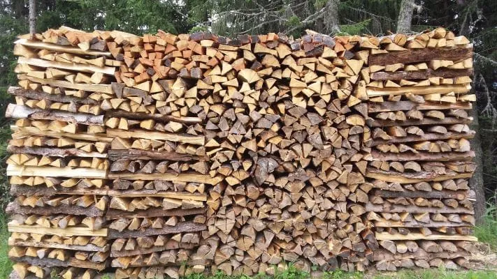 World of Fireplaces: Ökobrennstoff Holz im Fokus