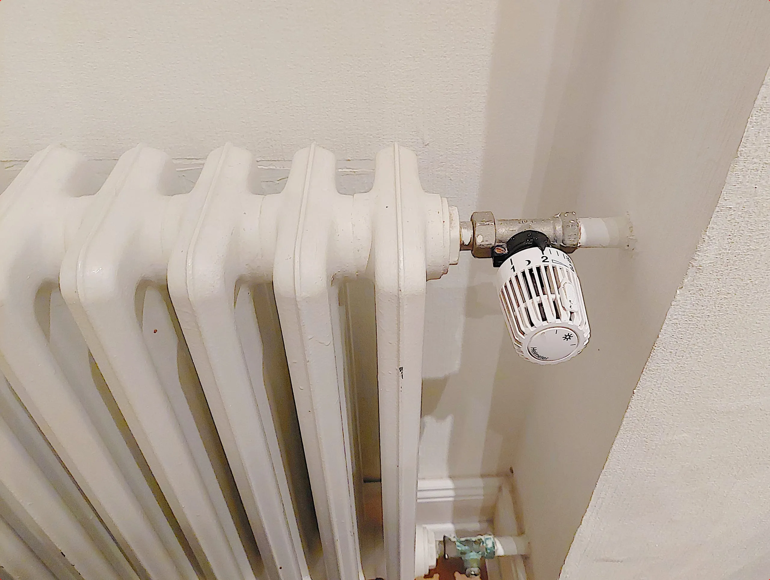 Eilantrag gegen Gestaltung des Gesetzgebungsverfahrens zum GEG erfolgreich