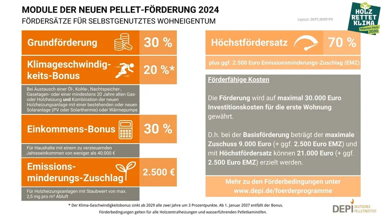 Grafik zur BEG-Förderung Pelletsheizung 2024