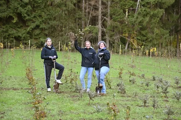 Am Waldrand machen sich die Reisser-Mitarbeiterinnen Shiela Franciosa, Barbara Stuber und Alexandra Brandt (v.l.) ans Werk. 