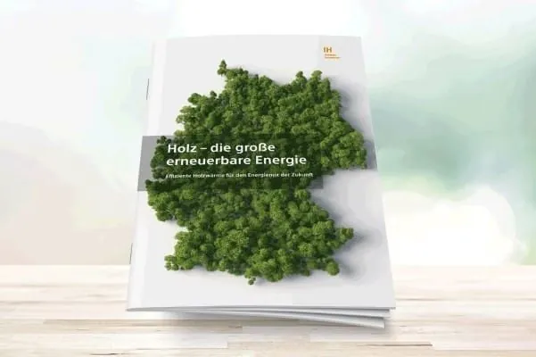 Deckblatt Brosch&uuml;re "Holz -die gro&szlig;e erneuerbare Energie"