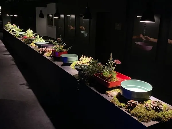 Die gesamte Ausstellung wurde mit viel Liebe zum Detail in Szene gesetzt.