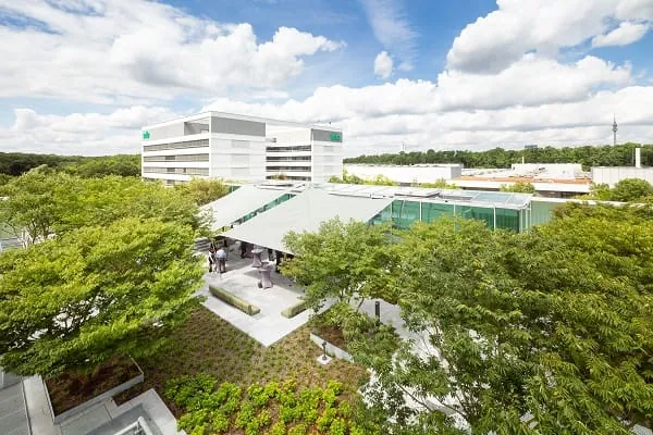 Eine große, begrünte Terrasse umschließt den sogenannten White Room auf dem Gebäudedach.