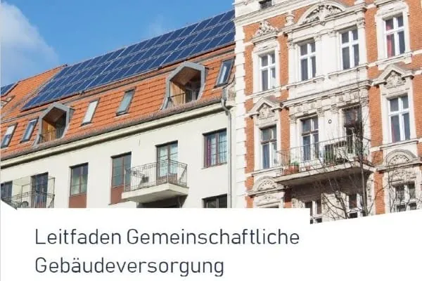 Ausschnitt aus Cover Leitfaden