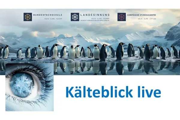 Das &bdquo;K&auml;lteblick live&ldquo;-Seminar beleuchtet am 3. Juni 2025 den illegalen Handel mit F-Gasen.