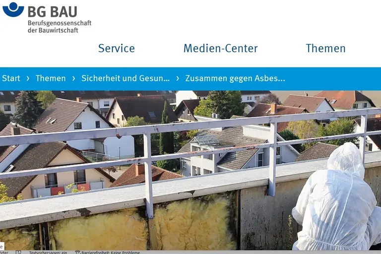 Screenshot Website BG Bau: Seit dem 19. Dezember gelten wesentliche &Auml;nderungen der Gefahrstoffverordnung. Die neuen Regelungen betreffen insbesondere Bau- und Handwerksbetriebe, die im Bestand t&auml;tig sind. 