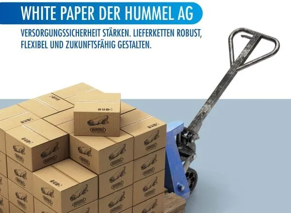 Symbolbild f&uuml;r Lieferf&auml;higkeit SHK-Bedarf: Kartons auf einer Palette auf einem Hubwagen