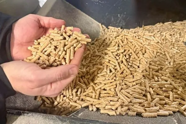 Zwei H&auml;nde halten eine Portion Pellets, die sie aus einem Pelletsbeh&auml;lter geschaufelt haben