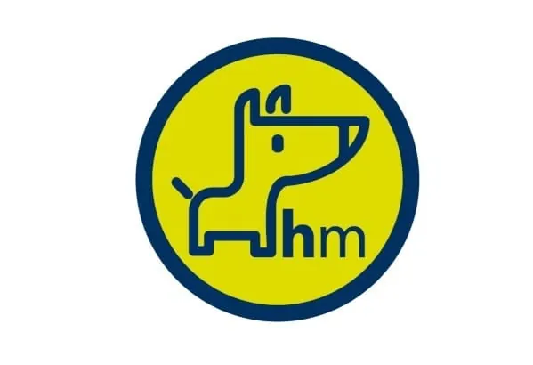 „Bello“ räumt ab: KI-Tool für Handwerker erhält Digital-Award